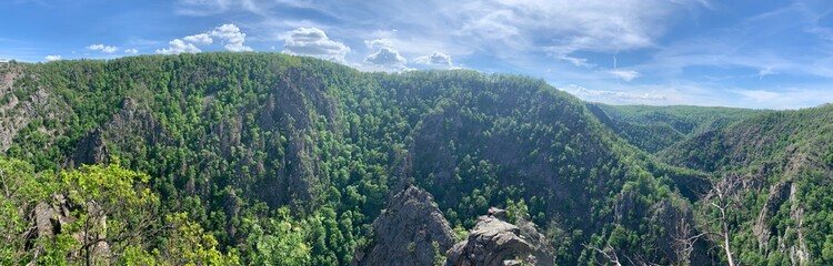Fototapeta premium Rosstrappe Harz