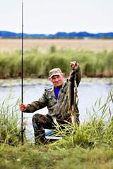 a fisherman with fishing rod shows catch of fish. Elderly man in camouflage sits by river or pond in reeds and shows caught pike. Outdoor activities during day.