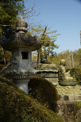 寺院と五重塔と薬師如来像