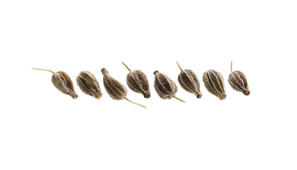 A set of anise seeds. Isolated on a white background