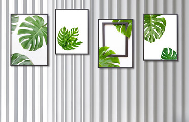 Frame pictures of Monstera leaves on white wooden wall background, interior design concept