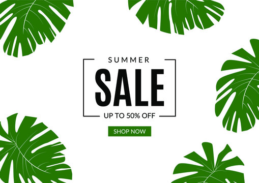 Banner template for summer sale with monstera leaves random on the border