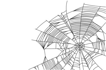 Obraz premium Spider web parts isolated on white background. Scary cobweb outline decor. Vector design elements for Halloween, horror, ghost or monster party, invitation and posters.