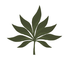 foliage plant icon