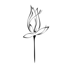 ornament 2272. one stylized flower bud on a short stem without leaves in black lines on a white background