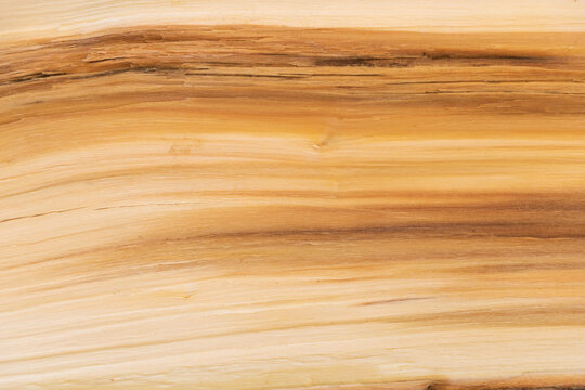 Close up shot of split wood texture background - good for design