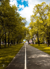 road in the park