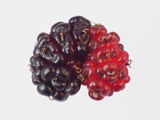 Color organic mulberries close up shot Concept of healthy food and good nutrition in summer. Modern creative idea for design.