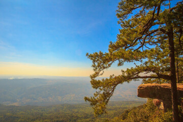 Pha Lom Sak Cliff at sunset or evening time on Phu Kradueng mountain national park, Loei province, Thailand, Asia.