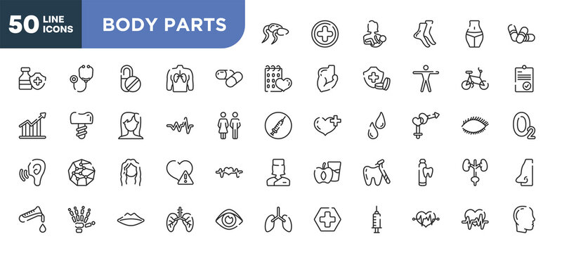 set of 50 outline body parts icons. editable thin line icons such as sperms, medicine capsule, cardiac graphic, long wavy hair, human hand bones, , lifeline in a heart stock vector.