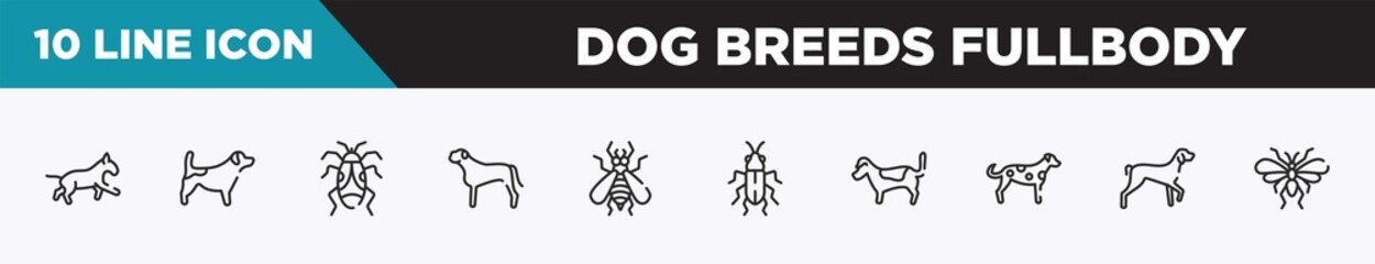 set of 10 outline dog breeds fullbody icons. editable thin line icons such as bulterrier, jack russel terrier, null, bullmastiff, null, red soldier beetle, jack russell terrier vector illustration.