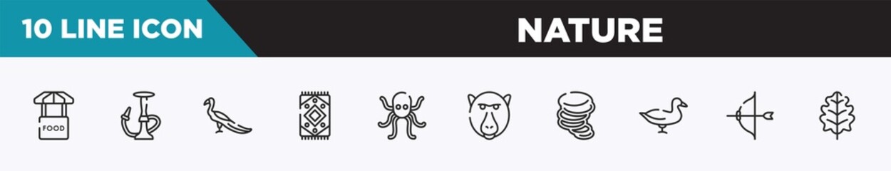 Obraz na płótnie Canvas set of 10 outline nature icons. editable thin line icons such as food stand, hookah, peacock, rug, octopus, baboon, tornado vector illustration.