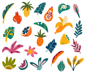 Fototapeta na wymiar Tropical fruits and leaves. Exotic sweet fruits and palm leaves collection. Perfect for printing, postcards, prints and posters. Vector cartoon illustration