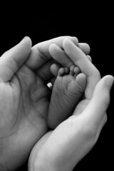 parent and baby hands