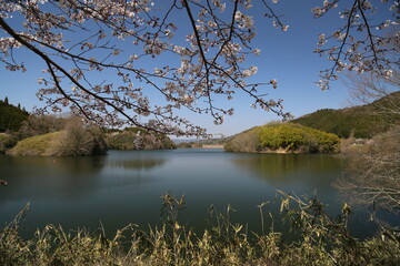 Obraz premium 2022 柳生の里