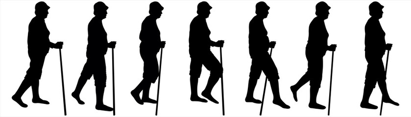 The tourist walks, step by step. A woman walks with a walking stick in her hand. Seven postures of a woman walking with a walking stick. Hiking. Black female silhouettes are isolated on white.