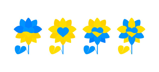 Set of sunflowers colored in Ukrainian flag. Sunflowers collection