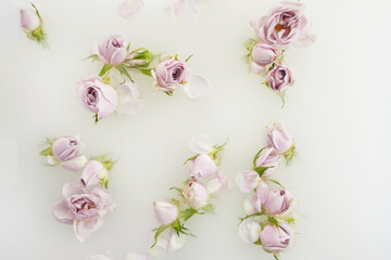 Fototapeta na wymiar Milk bath with pink roses and petals. Top view