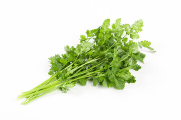 coriander or Chinese parsley isolated on white background