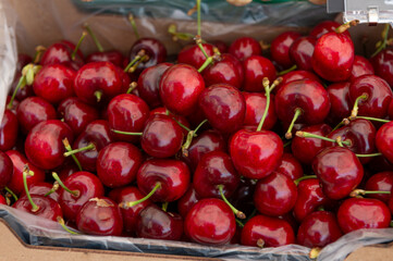 cherry fruits in the market