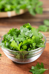 fresh cilantro or Chinese parsley on wooden table