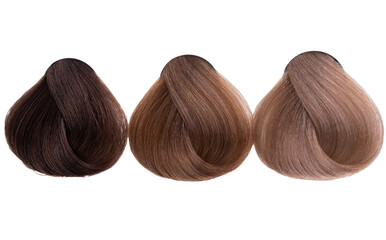 curls of hair dyed isolated