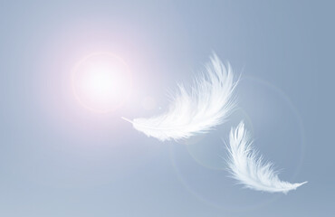 White Fluffy Feathers Floating in the Sky. Swan Feathers Flying in Heavenly. 	