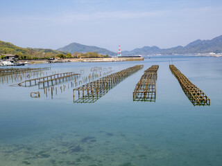 江田島　瀬戸内海　かき筏　海の風景