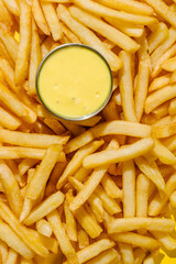 french fries with cheese sauce top view