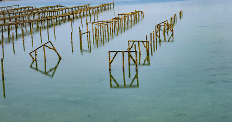 江田島　瀬戸内海　かき筏　海の風景