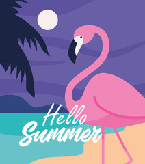hello summer card