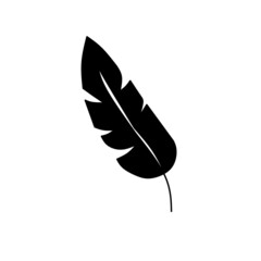 Blank bird feather vector shape isolated on white background.