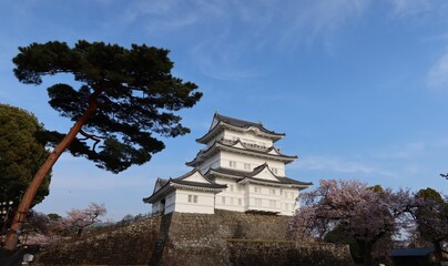  The donjon of Odawara-jyo Castle in Odawara City in Kanagawa Prefecture in Japan 日本の神奈川県小田原市にある小田原城の天守閣