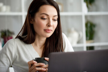Portrait of a brunette woman working in an office with a laptop computer. A woman with a laptop looks into the camera and smiles sweetly.