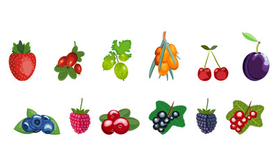 set of berries