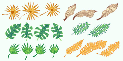 Set of vector tropical leaves, vector illustration