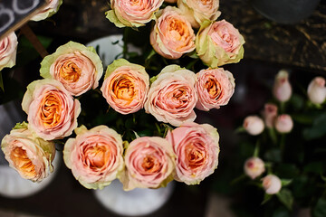 pink beige kahala roses close-up on a flower shop