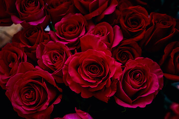red roses close up flower shop showcase