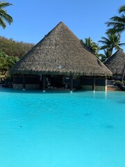 tropical resort swimming pool