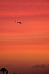 Fototapeta na wymiar Airplane in the sunset
