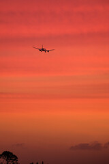 Airplane in the sunset