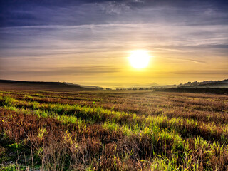 Amanece en los campos de Pinto. Madrid España.