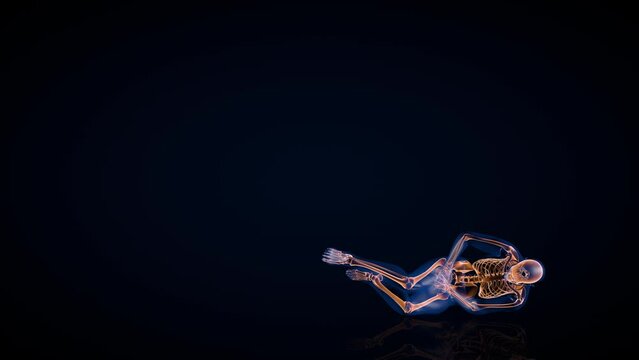 Human x-ray body and skeleton, big stomack pain loop