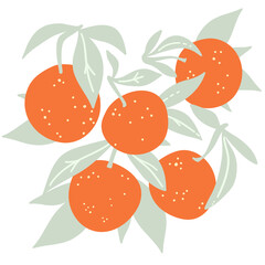 Orange fruit with leaf. Simple and modern hand drawn set. Tree branch with leaves and mandarines. Colored flat vector illustration isolated on white background.