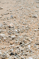 Close up natural sand texture on beach.