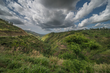 Beautiful landscape in southwestern Uganda, at the Bwindi Impenetrable Forest National Park, at the...