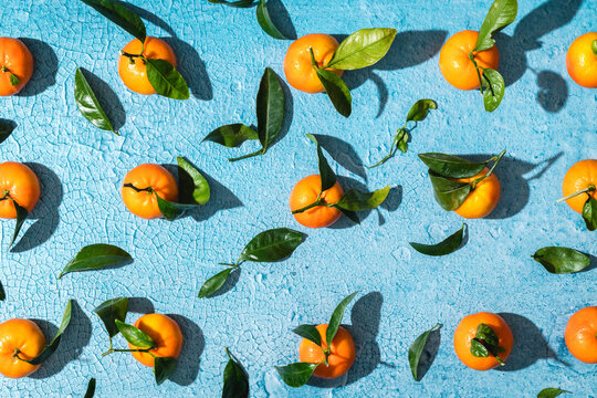 Tropical tangerines with leaves on blue surface