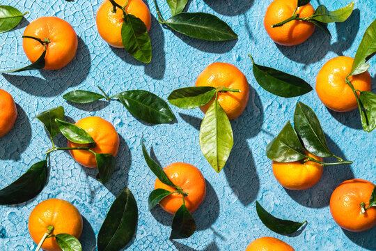 Tropical tangerines with leaves on blue surface