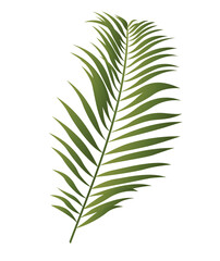 Tropical plant icon. Green leaf of fern or other exotic flower. Design element for websites and apps. Environment and nature. Cartoon gradient vector illustration isolated on white background