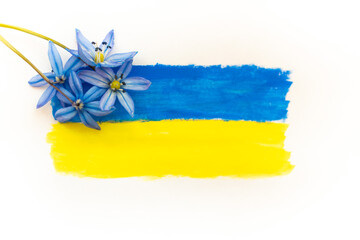 Flag of Ukraine is drawn in blue and yellow colors on a white background. Blue flowers on the flag of Ukraine. No war. Rise and restoration of Ukraine. White background, place for text. High quality